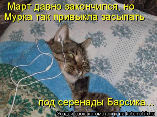 Котоматрица: Март давно закончился, но Мурка так привыкла засыпать под серенады Барсика...