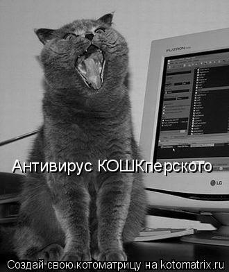 Антивирус КОШКперского... Котоматрица: Антивирус КОШКперского