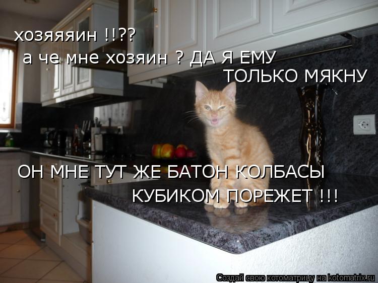 хозяяяин !!?? а че мне хозяин ? ДА Я ЕМУ ТОЛЬКО МЯКНУ ОН МНЕ ТУТ ЖЕ БАТОН КОЛБАСЫ КУБИКОМ ПОРЕЖЕТ !!!... Котоматрица: хозяяяин !!?? а че мне хозяин ? ДА Я ЕМУ ТОЛЬКО МЯКНУ ОН МНЕ ТУТ ЖЕ БАТОН КОЛБАСЫ КУБИКОМ ПОРЕЖЕТ !!!