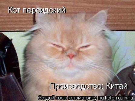 Кот персидский Производство: Китай... Котоматрица: Кот персидский Производство: Китай