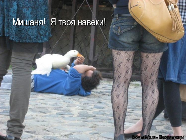 Мишаня! Я твоя навеки!... Котоматрица: Мишаня! Я твоя навеки!
