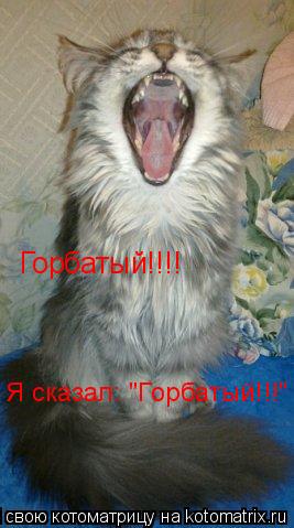 Горбатый!!!! Я сказал: "Горбатый!!!"... Котоматрица: Горбатый!!!! Я сказал: "Горбатый!!!"