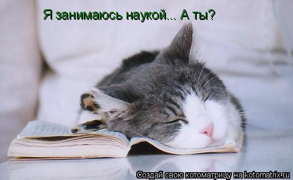 Я занимаюсь наукой... А ты?... Котоматрица: Я занимаюсь наукой... А ты?