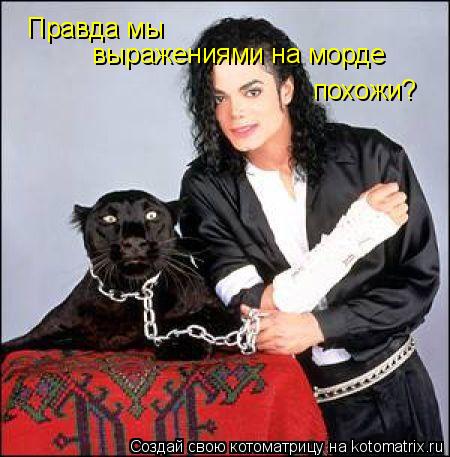 Правда мы выражениями на морде похожи?... Котоматрица: Правда мы выражениями на морде похожи?