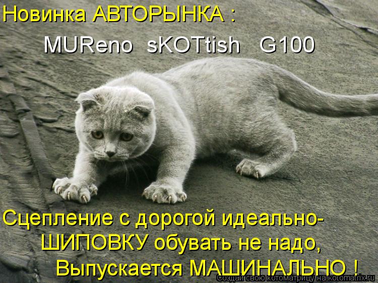 Новинка АВТОРЫНКА : MUReno sKOTtish G100 Сцепление с дорогой идеально- ШИПОВКУ обувать не надо, Вы... Котоматрица: Новинка АВТОРЫНКА : MUReno sKOTtish G100 Сцепление с дорогой идеально- ШИПОВКУ обувать не надо, Выпускается МАШИНАЛЬНО !