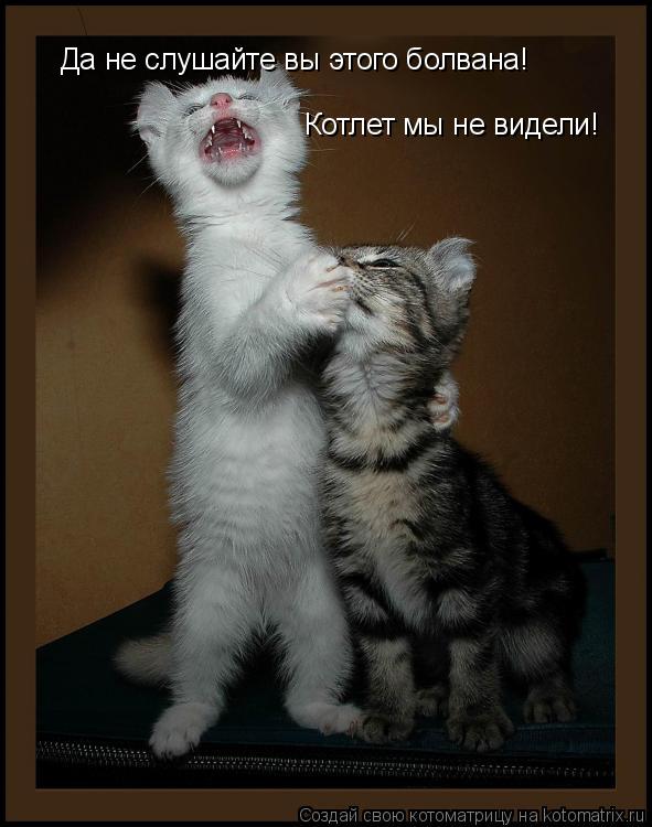 Да не слушайте вы этого болвана! Котлет мы не видели!... Котоматрица: Да не слушайте вы этого болвана! Котлет мы не видели!