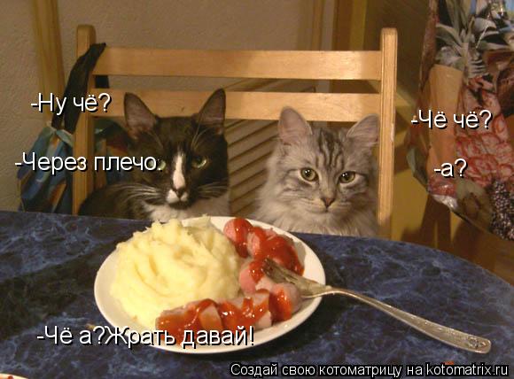 -Ну чё? -Чё чё? -Через плечо. -а? -Чё а?Жрать давай!... Котоматрица: -Ну чё? -Чё чё? -Через плечо. -а? -Чё а?Жрать давай!