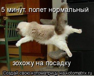 5 минут. полет нормальный зохожу на посадку... Котоматрица: 5 минут. полет нормальный зохожу на посадку