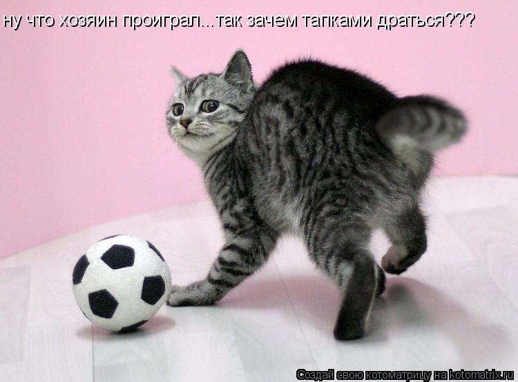 ну что хозяин проиграл...так зачем тапками драться???... Котоматрица: ну что хозяин проиграл...так зачем тапками драться???