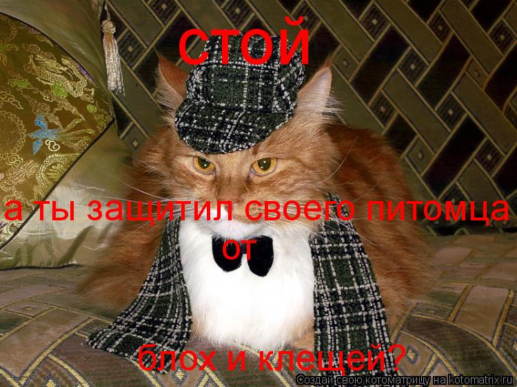 стой а ты защитил своего питомца от блох и клещей?... Котоматрица: стой а ты защитил своего питомца от блох и клещей?