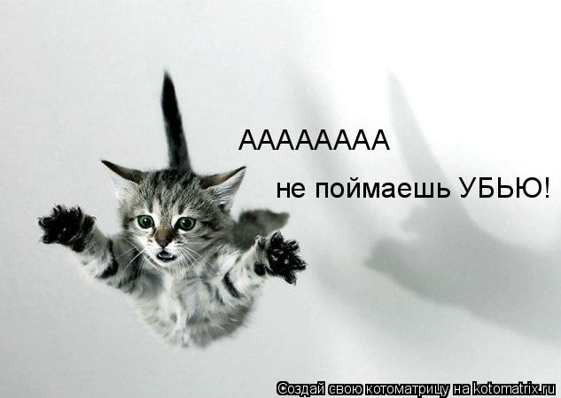 АААААААА не поймаешь УБЬЮ!... Котоматрица: АААААААА не поймаешь УБЬЮ!