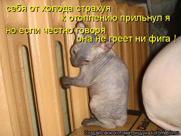 себя от холода страхуя к отоплению прильнул я но если честно говоря она не греет ни фига !... Котоматрица: себя от холода страхуя к отоплению прильнул я но если честно говоря она не греет ни фига !