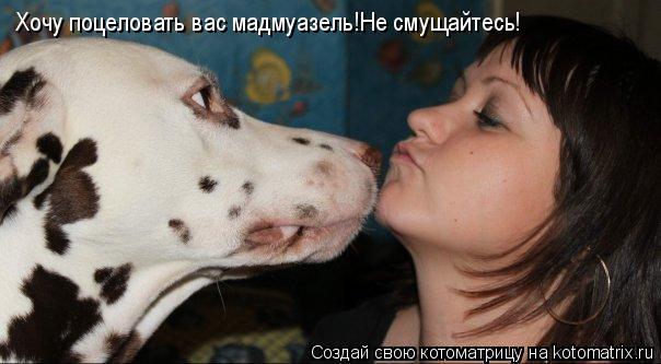 Хочу поцеловать вас мадмуазель!Не смущайтесь!... Котоматрица: Хочу поцеловать вас мадмуазель!Не смущайтесь!