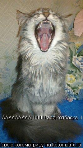 ААААААААА!!!!!!!!!Моя колбаска..!... Котоматрица: ААААААААА!!!!!!!!!Моя колбаска..!