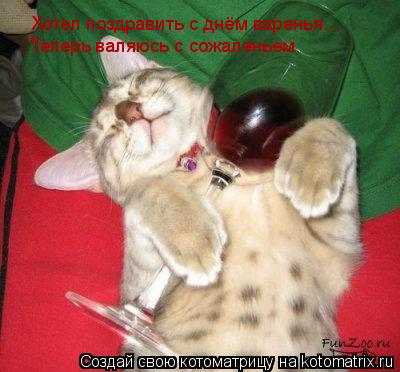 Хотел поздравить с днём варенья... Теперь валяюсь с сожаленьем... Котоматрица: Хотел поздравить с днём варенья... Теперь валяюсь с сожаленьем