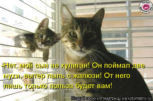 -Нет, мой сын не хулиган! Он поймал две мухи, вытер пыль с жалюзи! От него лишь только польза будет в... Котоматрица: -Нет, мой сын не хулиган! Он поймал две мухи, вытер пыль с жалюзи! От него лишь только польза будет вам!