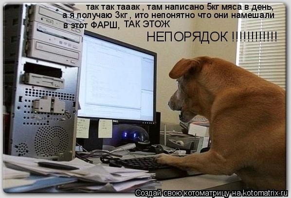 так так тааак , там написано 5кг мяса в день, а я получаю 3кг , ито непонятно что они намешали в этот... Котоматрица: так так тааак , там написано 5кг мяса в день, а я получаю 3кг , ито непонятно что они намешали в этот ФАРШ, ТАК ЭТОЖ НЕПОРЯДОК !!!!!!!!!!!!