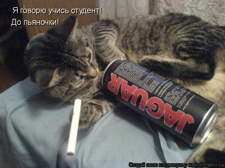 Котоматрица: Я говорю учись студент! До пьяночки!