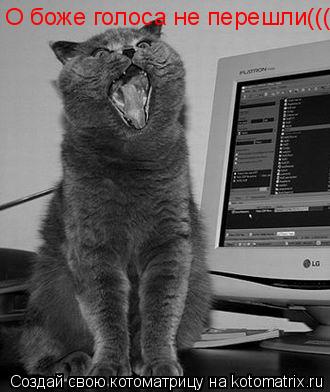 Котоматрица: О боже голоса не перешли(((