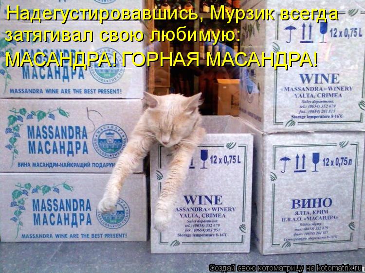 Надегустировавшись, Мурзик всегда МАСАНДРА! ГОРНАЯ МАСАНДРА! затягивал свою любимую:... Котоматрица: Надегустировавшись, Мурзик всегда МАСАНДРА! ГОРНАЯ МАСАНДРА! затягивал свою любимую: