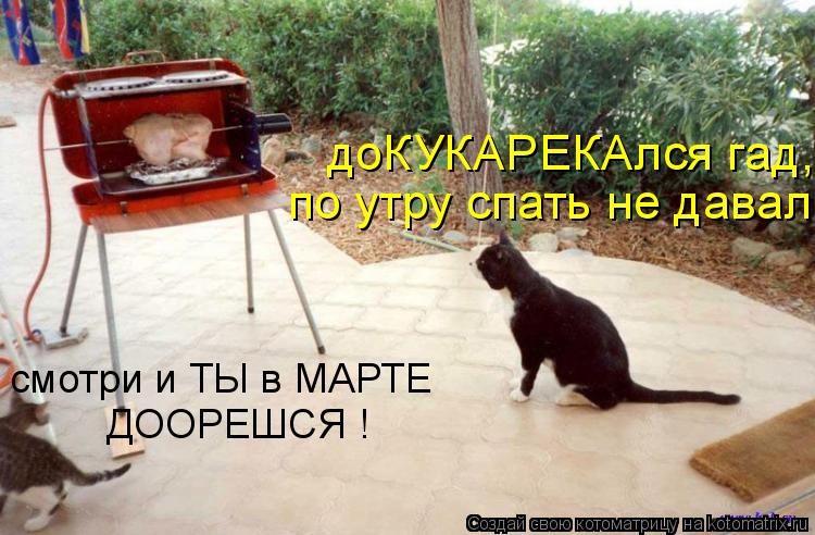 Котоматрица: доКУКАРЕКАлся гад, по утру спать не давал смотри и ТЫ в МАРТЕ ДООРЕШСЯ !