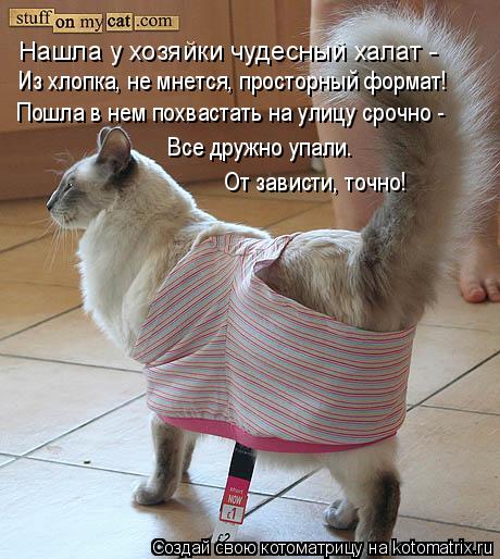 Нашла у хозяйки чудесный халат - Из хлопка, не мнется, просторный формат! Пошла в нем похвастать на у... Котоматрица: Нашла у хозяйки чудесный халат - Из хлопка, не мнется, просторный формат! Пошла в нем похвастать на улицу срочно - Все дружно упали. От завист