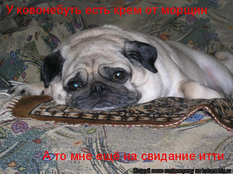 Котоматрица: У ковонебуть есть крем от морщин  А то мне ещё на свидание итти