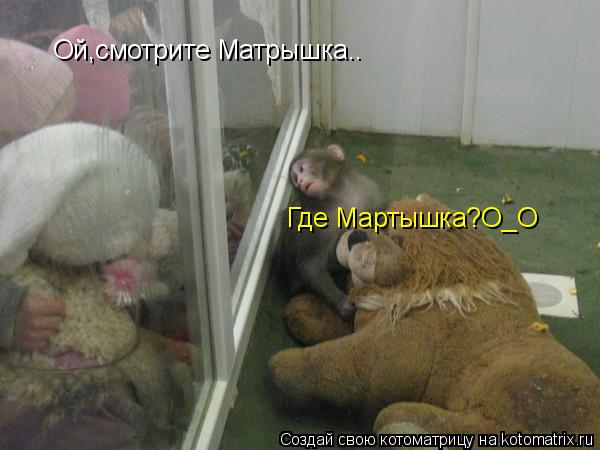 Котоматрица: Ой,смотрите Матрышка.. Где Мартышка?О_О