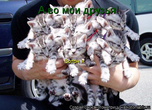 Котоматрица: Вотон я  А во мои друзья!