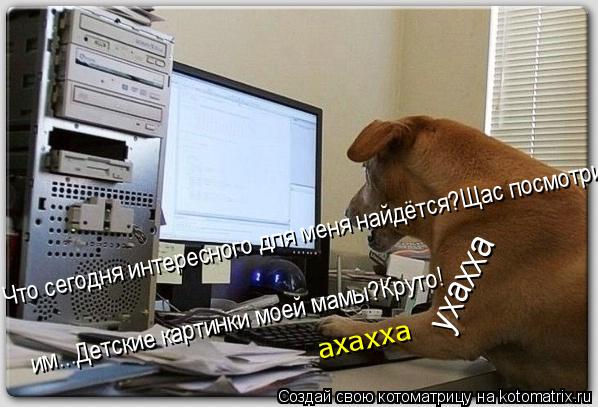 Котоматрица: Что сегодня интересного для меня найдётся?Щас посмотрим...Детские картинки моей мамы?Круто! Что сегодня интересного для меня найдётся?Щас п
