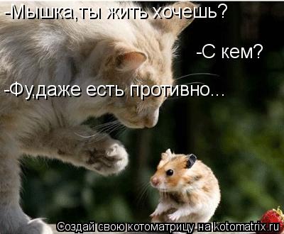 Котоматрица: -Мышка,ты жить хочешь? -С кем? -Фу,даже есть противно...