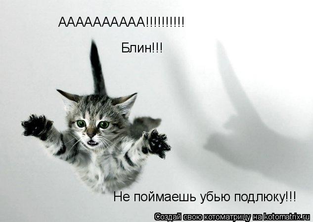 Котоматрица: АААААААААА!!!!!!!!!! Блин!!! Не поймаешь убью подлюку!!!