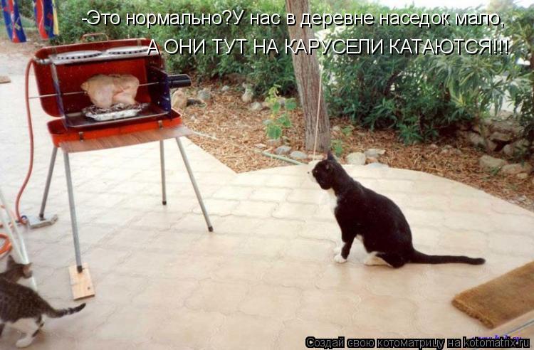 Котоматрица: -Это нормально?У нас в деревне наседок мало, А ОНИ ТУТ НА КАРУСЕЛИ КАТАЮТСЯ!!!