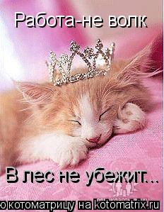 Котоматрица: Работа-не волк Работа-не волк В лес не убежит... В лес не убежит... В лес не убежит...