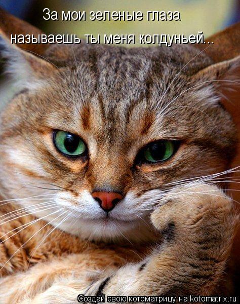 Котоматрица: За мои зеленые глаза называешь ты меня колдуньей...
