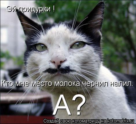 Котоматрица: Эй придурки ! Кто мне место молока чернил налил. А?