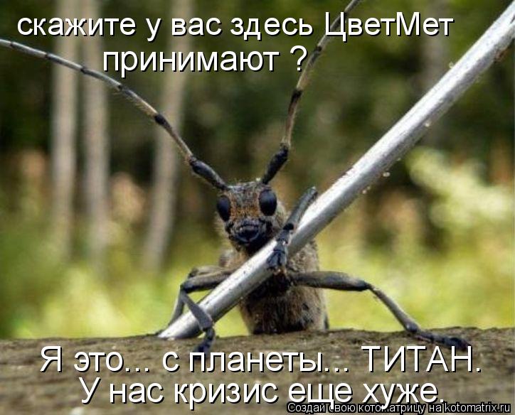Котоматрица: скажите у вас здесь ЦветМет принимают ? Я это... с планеты... ТИТАН. У нас кризис еще хуже.