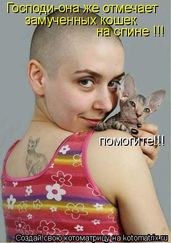 Котоматрица: Господи-она же отмечает замученных кошек на спине !!! помогите!!!
