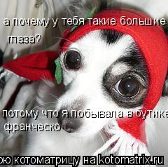 Котоматрица: а почему у тебя такие большие  глаза? потому что я побывала в бутике  франческо