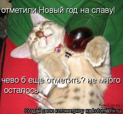 Котоматрица: отметили Новый год на славу! чево б ещё отметить? не много  осталось