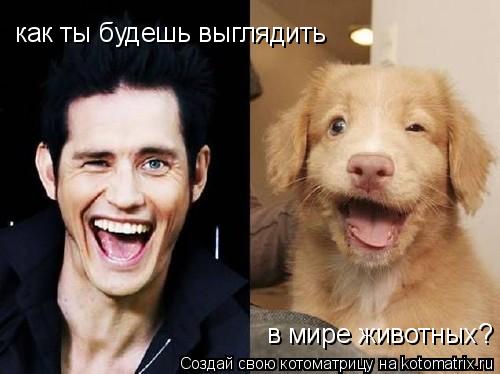 Котоматрица: как ты будешь выглядить  в мире животных?