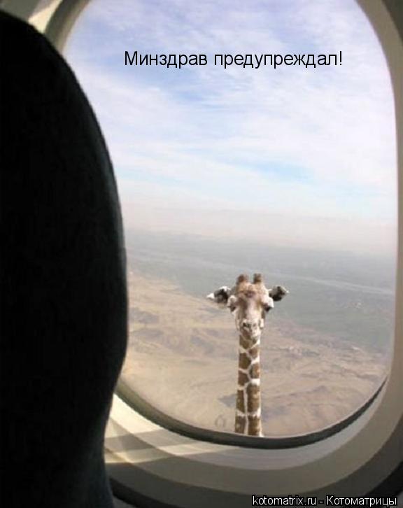 Котоматрица: Минздрав предупреждал!
