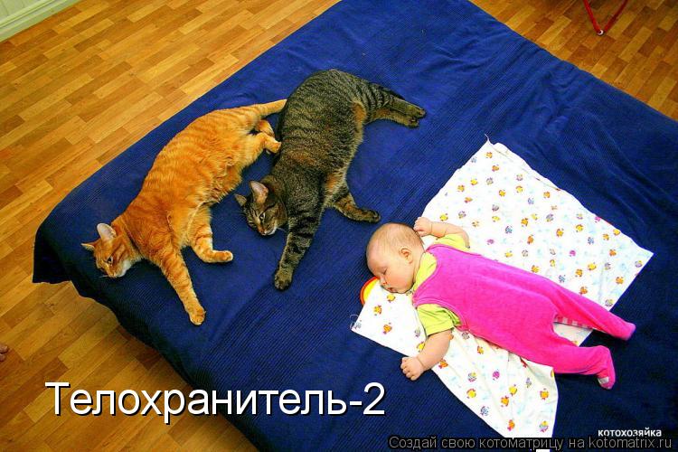 Котоматрица: Телохранитель-2