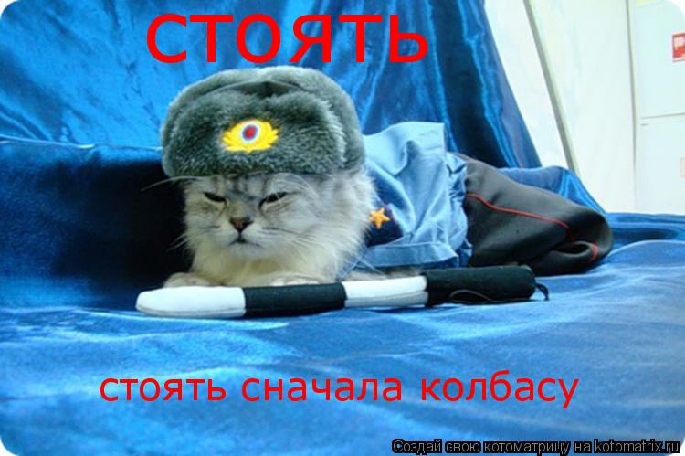 Котоматрица: стоять сначала колбасу стоять