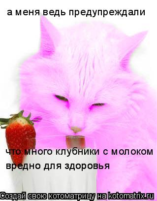 Котоматрица: а меня ведь предупреждали что много клубники с молоком вредно для здоровья вредно для здоровья