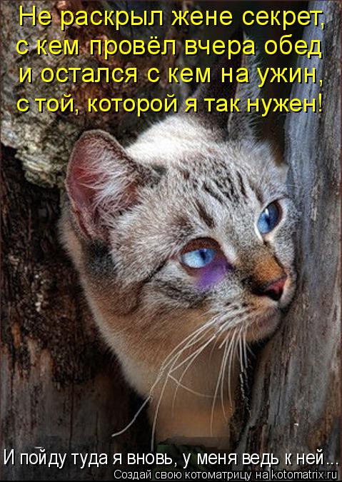 Котоматрица: Не раскрыл жене секрет, с кем провёл вчера обед и остался с кем на ужин, с той, которой я так нужен! И пойду туда я вновь, у меня ведь к ней...