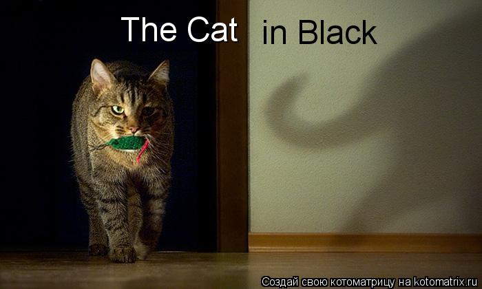 Котоматрица: The Cat  in Black