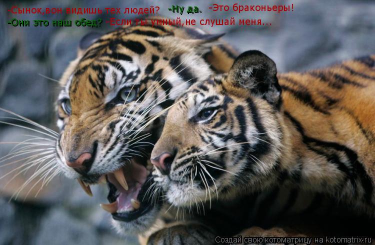 Котоматрица: -Сынок,вон видишь тех людей? -Ну да. -Это браконьеры! -Они это наш обед? -Если ты умный,не слушай меня...