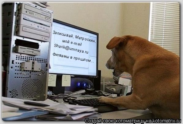 Записывай, Записывай, Матроскин, мой e-mail Sharik@umnaya.ru Фигвамы в прошлом...... Котоматрица: Записывай, Записывай, Матроскин, мой e-mail Sharik@umnaya.ru Фигвамы в прошлом...