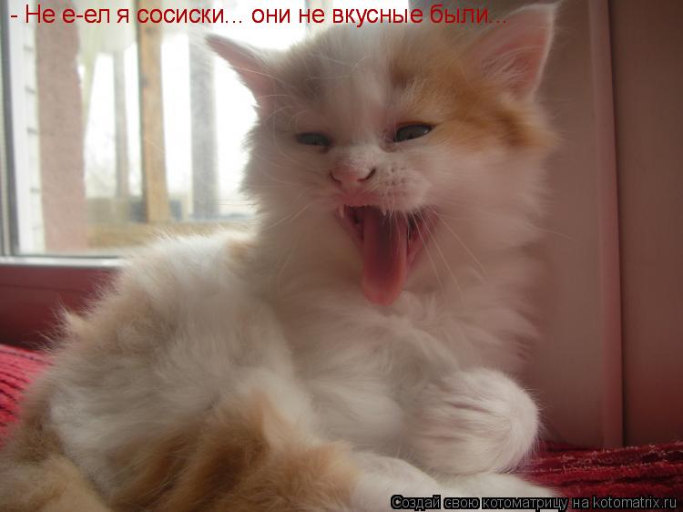 - Не е-ел я сосиски... они не вкусные были... - Не е-ел я сосиски... они не вкусные были...... Котоматрица: - Не е-ел я сосиски... они не вкусные были... - Не е-ел я сосиски... они не вкусные были...